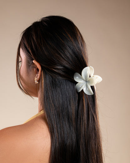 Women's Flower Multicolor Hair Clips