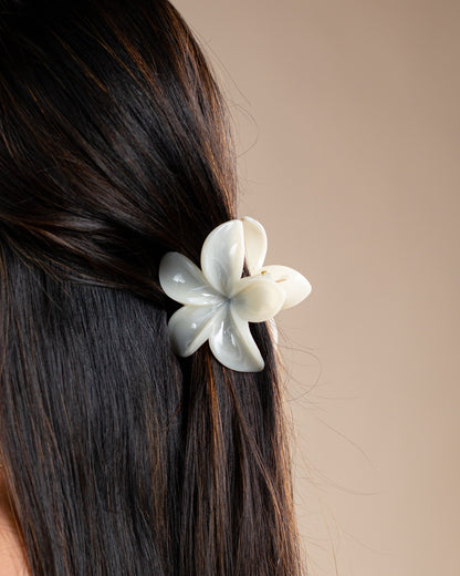 Women's Flower Multicolor Hair Clips
