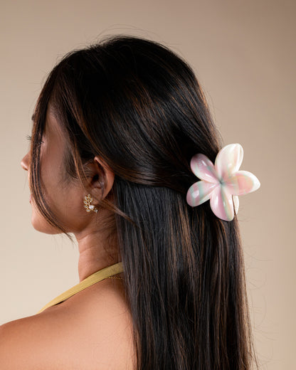 Women's Flower Multicolor Hair Clips